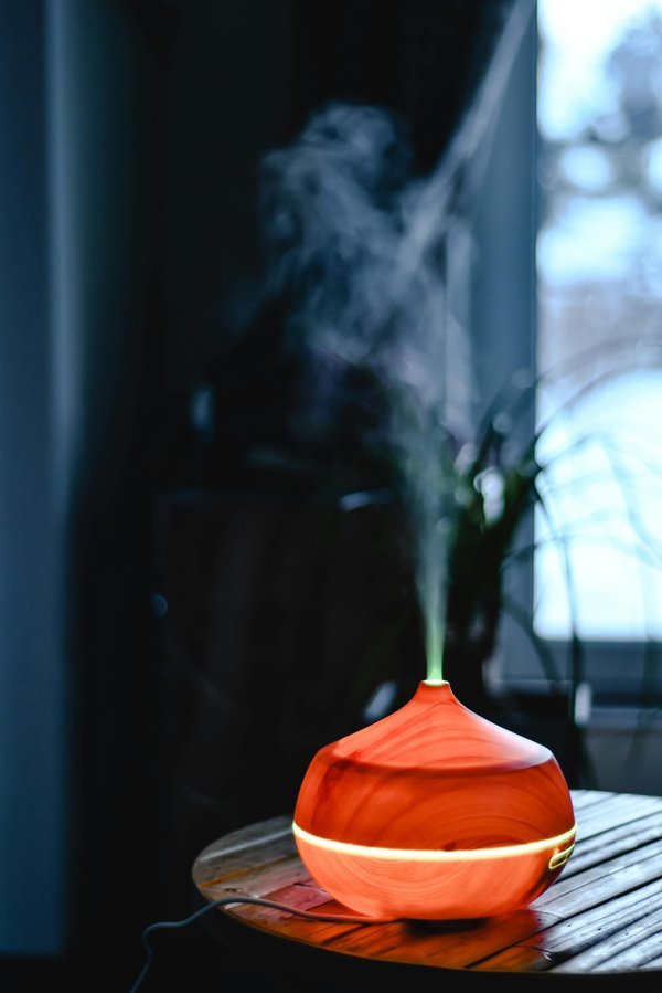 Meilleurs humidificateurs d'air : guide 2025 pour un air sain